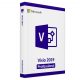 Microsoft Visio 2019 Professional